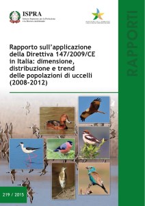 Report Direttiva cover