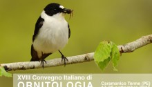 XVIII Convegno Italiano di Ornitologia