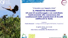 Il Progetto MITO2000: 15 anni di monitoraggio e un contributo fondamentale alla conoscenza dei cambiamenti delle popolazioni di Uccelli nidificanti in Italia
